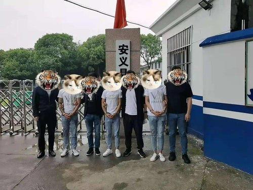 安义爆料盗窃最新消息,追回失窃财物，还市民安宁